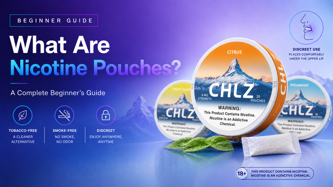 What Are Nicotine Pouches? A Complete Beginner's Guide